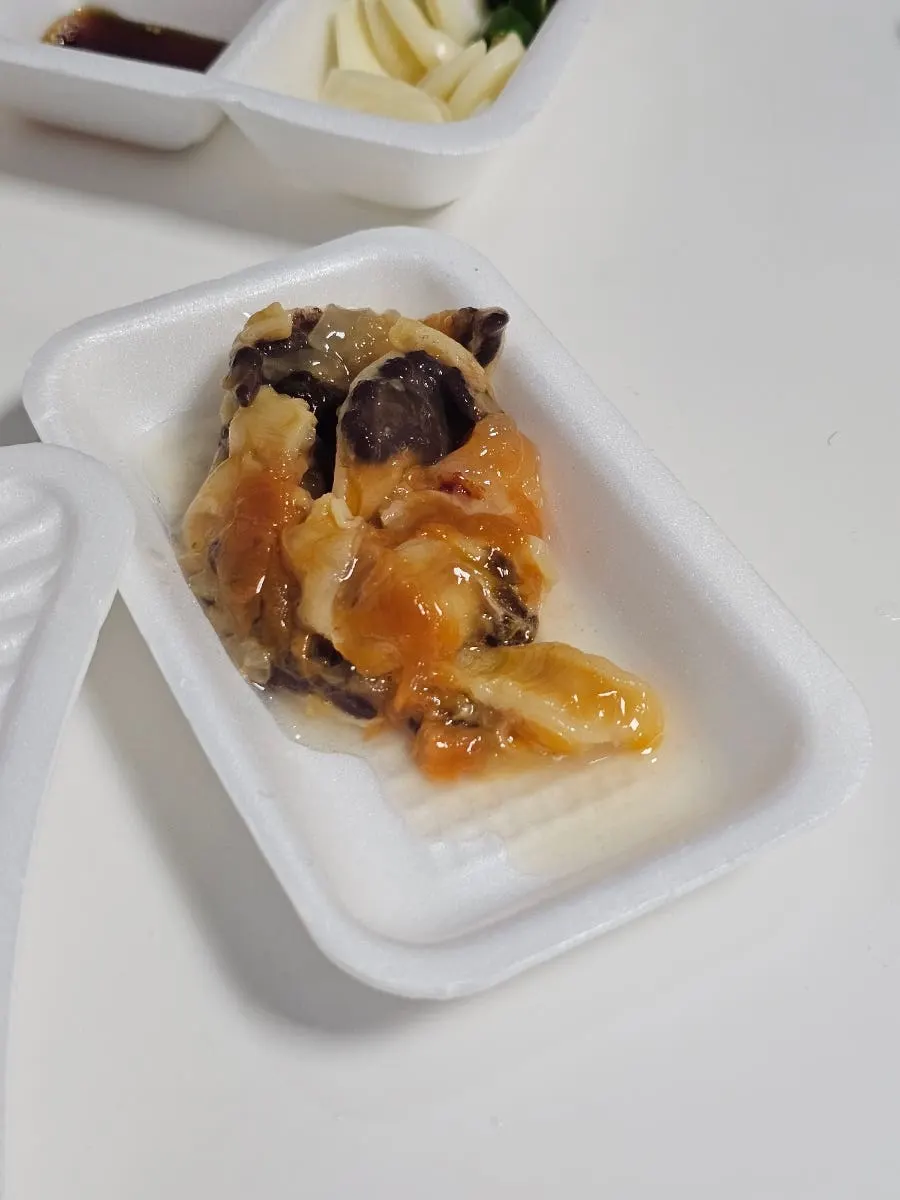 서비스로 받은 멍게회