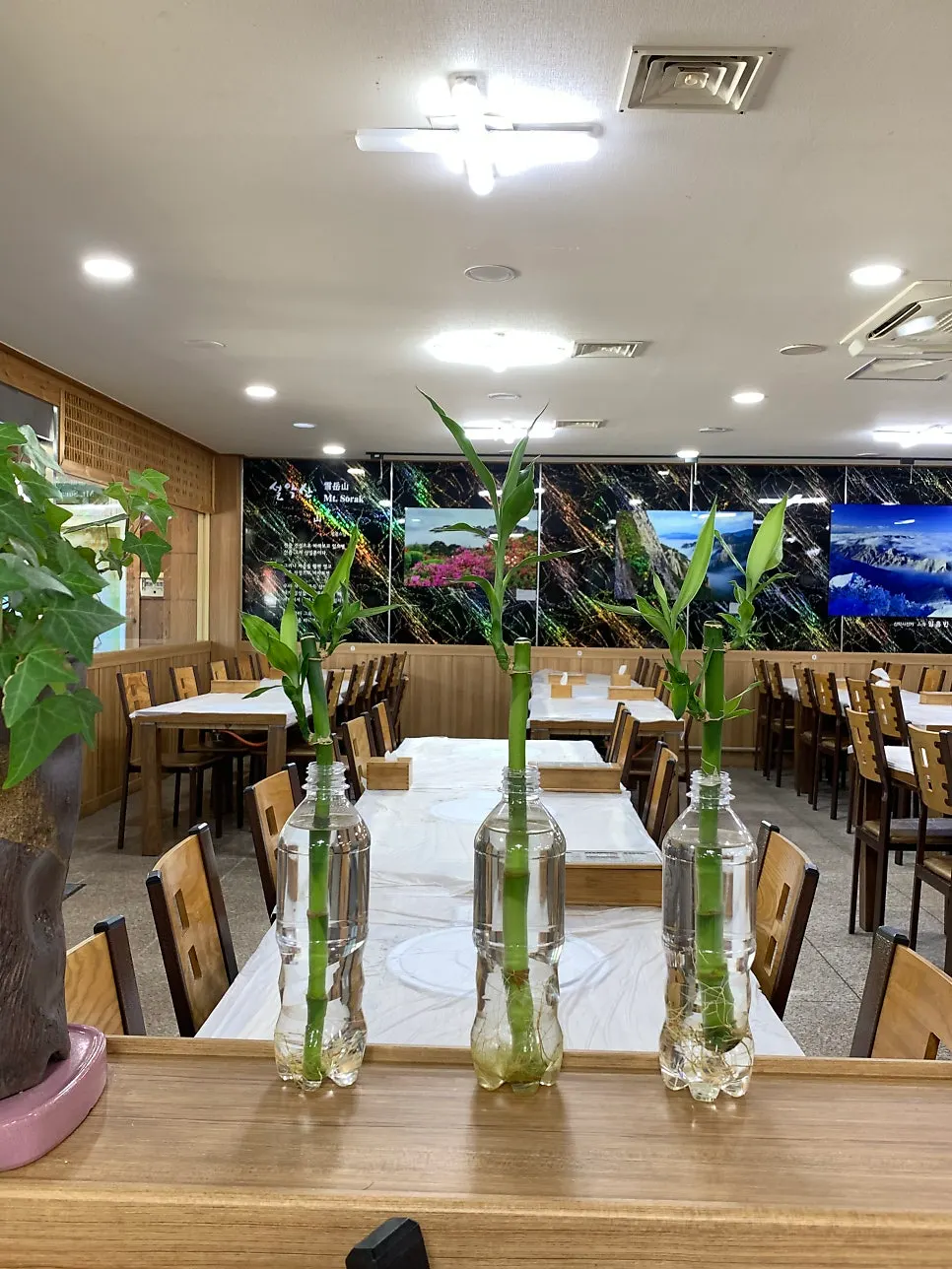 Cozy dining hall view at Jinsol Halmeoni Sundubu