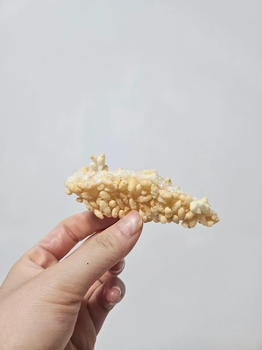 A palm-sized piece of black rice grain gangjeong
