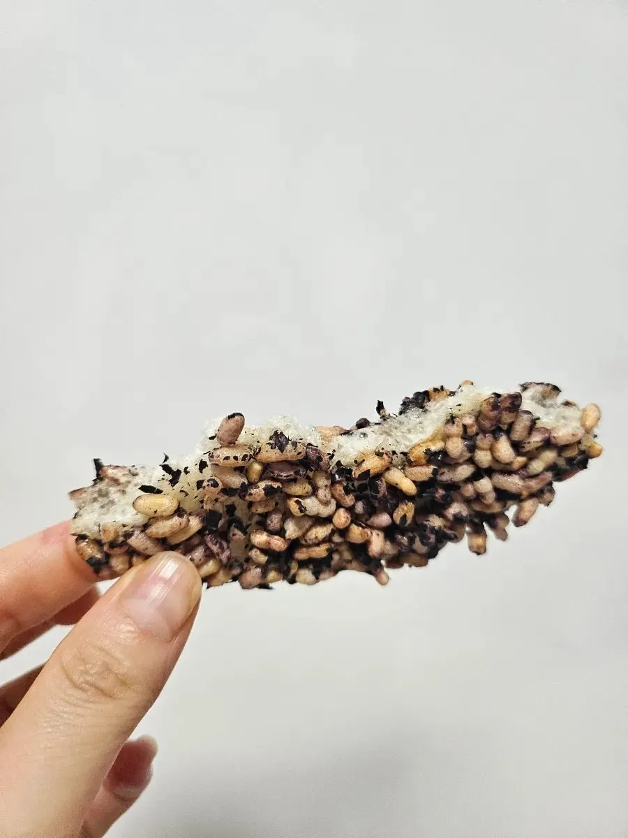 Two bags of Ibuja Mayak Gotgan grain gangjeong brought home