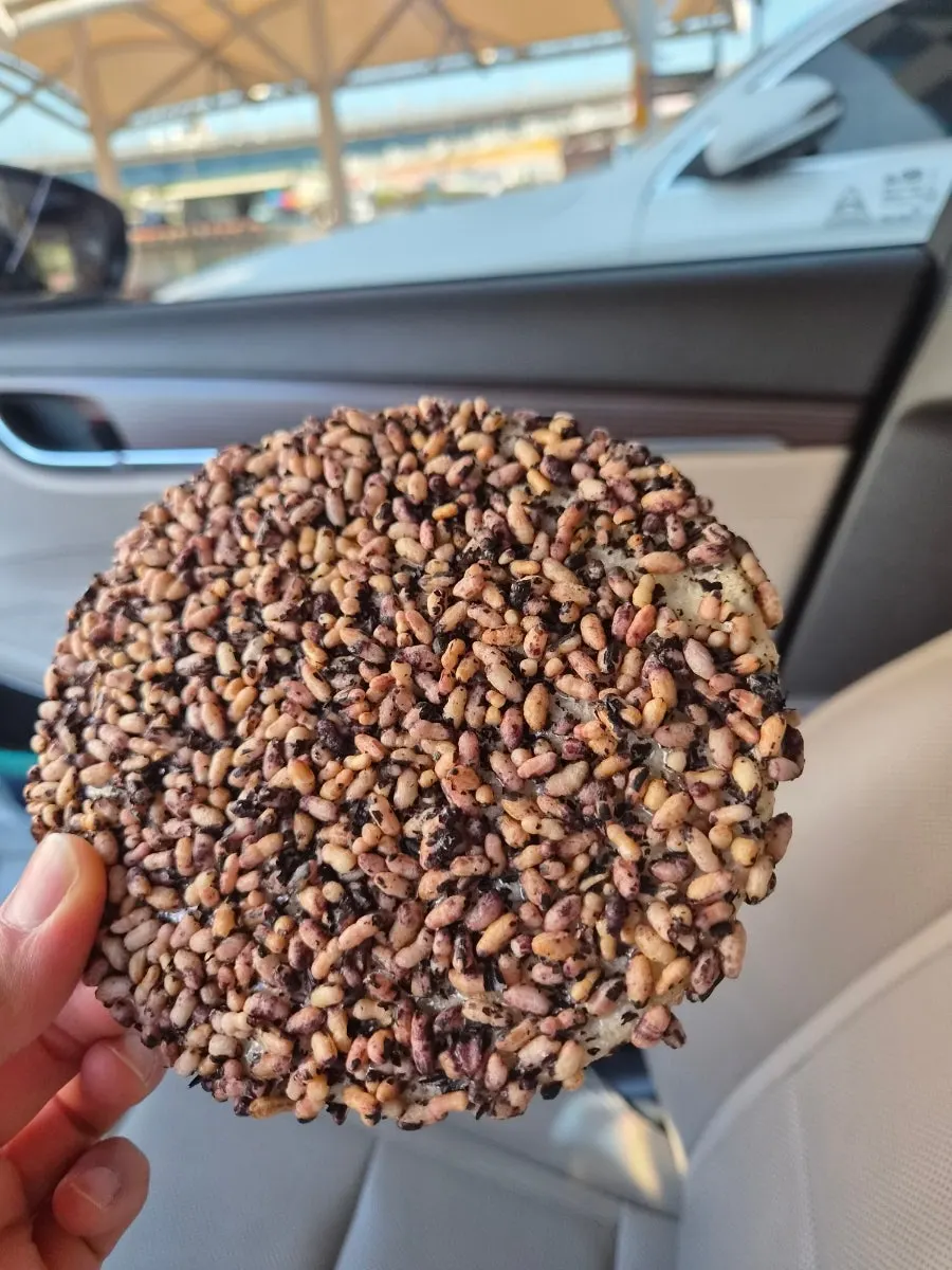 Cross-section of white rice grain gangjeong