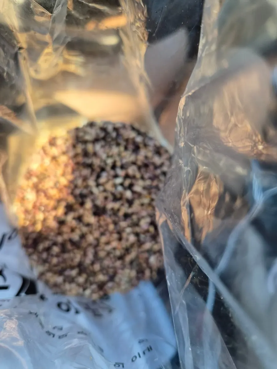 A packaged bag of Sokcho Central Market grain gangjeong