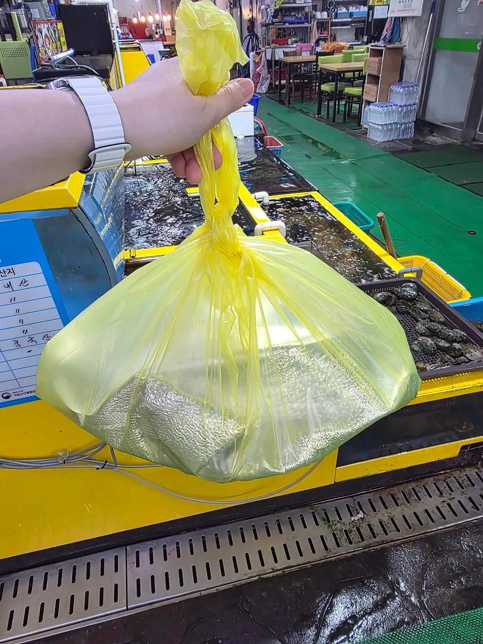 윤기 도는 광어회 클로즈업