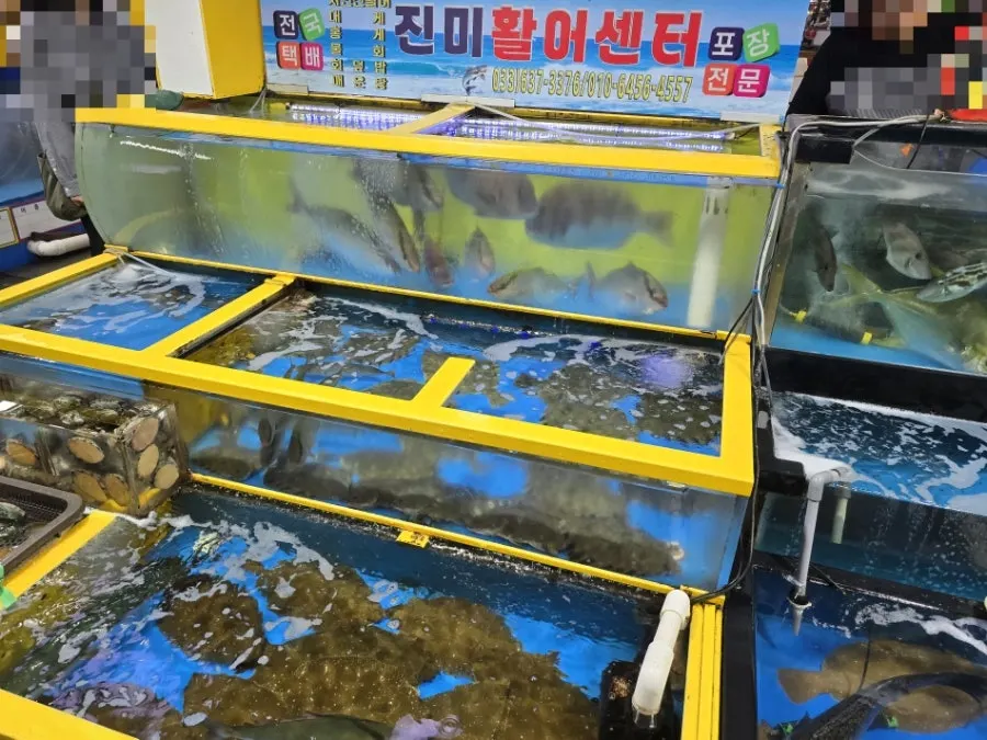 속초관광수산시장 지하 1층 회센터 입구