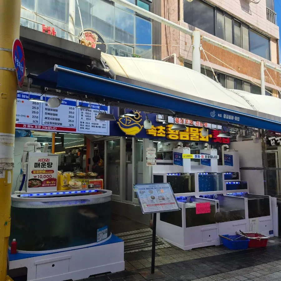 속초중앙시장 속초황금물회횟집 외관과 수조