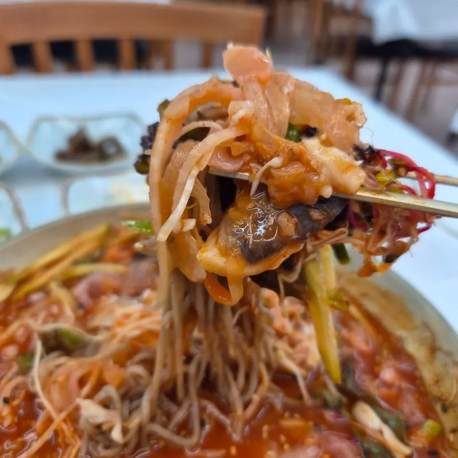 메밀면을 넣은 물회 육수