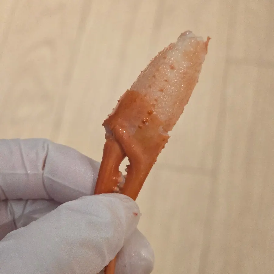 Red snow crab claw prepped for easy eating
