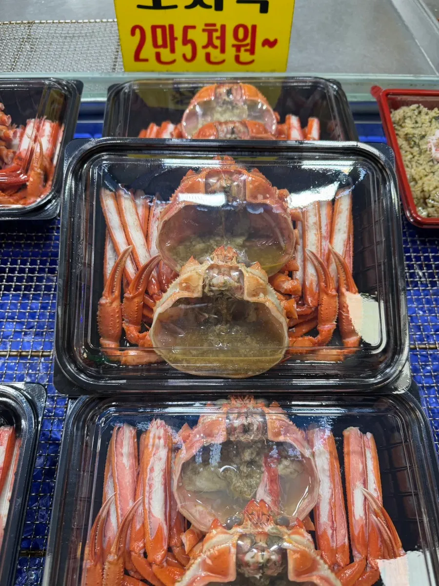 Crab lunchboxes laid out to choose from