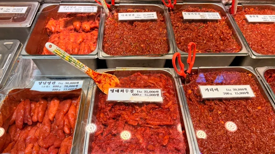 Buying jeotgal at Sokcho Central Market