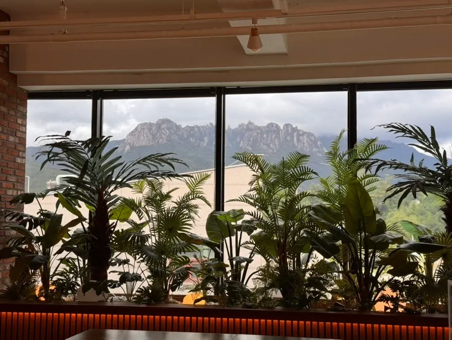 View from a seat looking out the window at Cafe Neorae