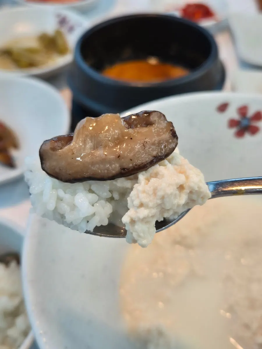 초당 순두부와 가마솥밥 한 상