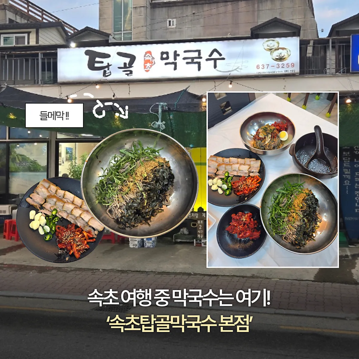 束草塔谷蕎麥麵本店紫蘇油蕎麥麵代表照片