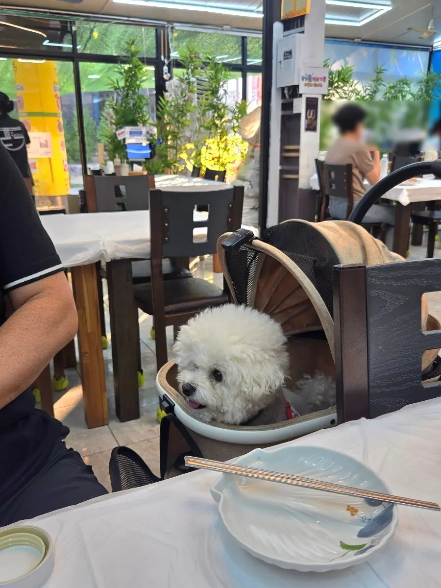 店內一角設置的自助吧