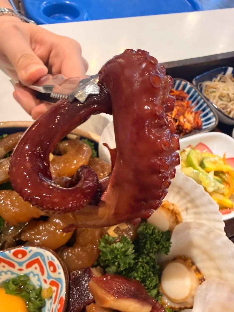 Soy-marinated octopus cut into easy-to-eat pieces
