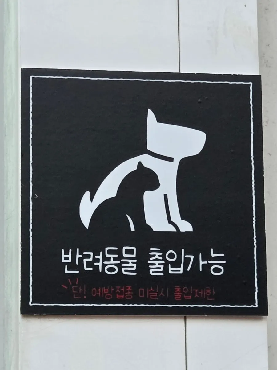 속초해물꽃장칼국수 좌석과 테이블