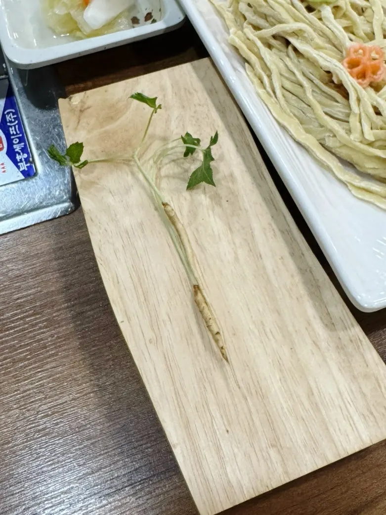 식전으로 제공된 새싹삼 한 뿌리