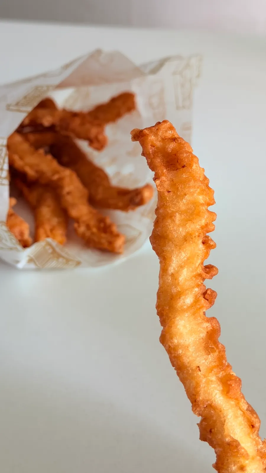 Photo of crispy squid tempura