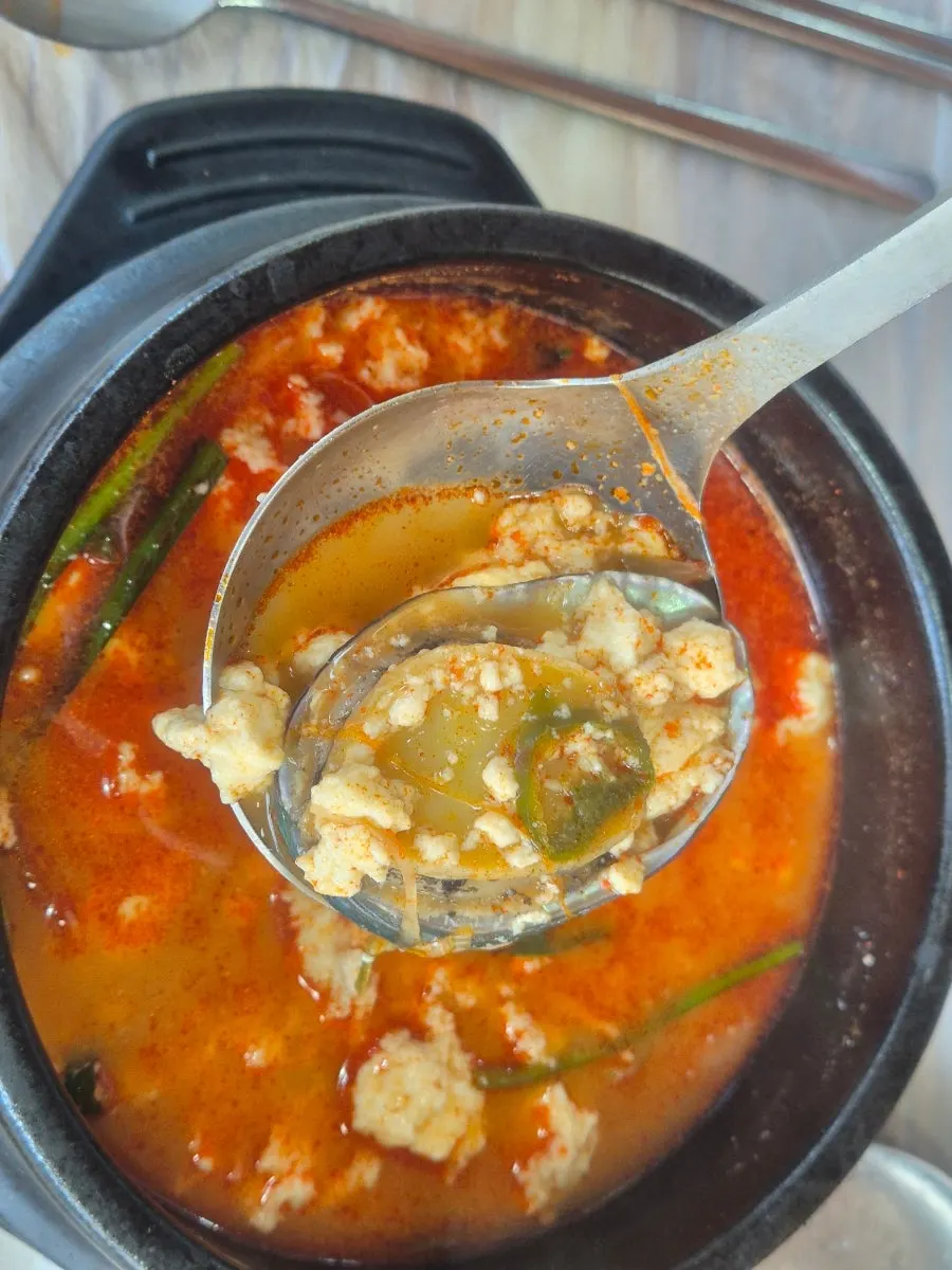 Abalone and shrimp inside the jjamppong seafood sundubu