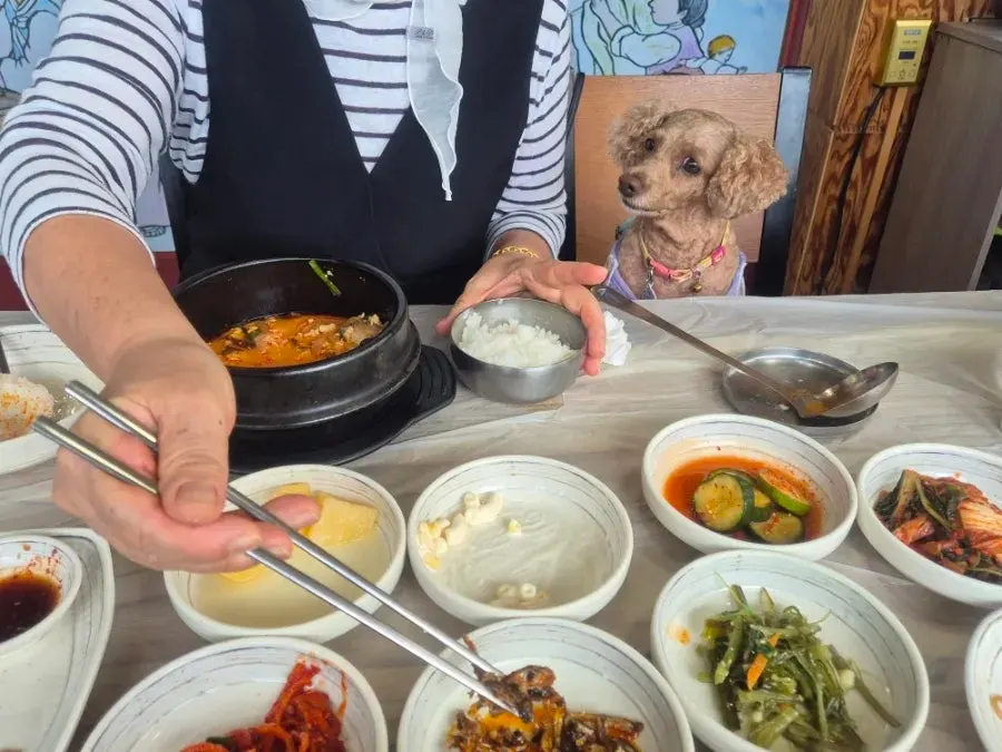 Breakfast table shared with mom over sundubu