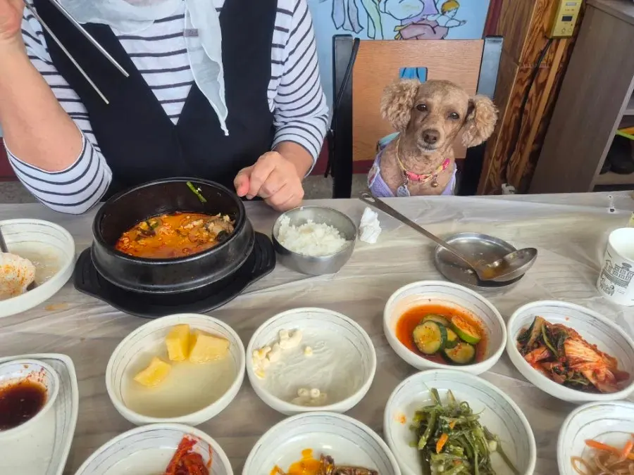 Dining table at Jinsol Halmeoni Sundubu