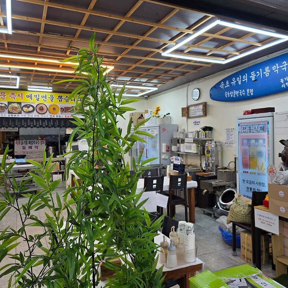 ภายในร้าน Sokcho Topgol Makguksu ที่มีต้นไม้สีเขียว