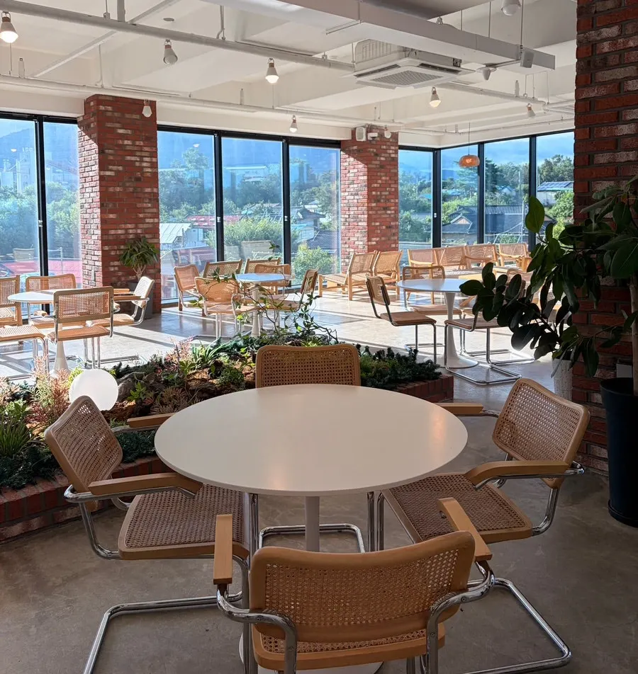 Café landscaping with plants and stones