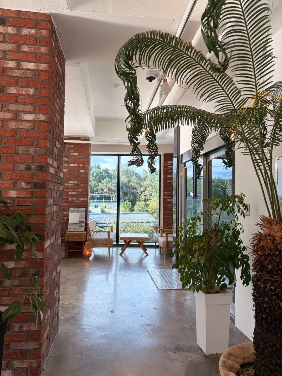 Spacious and comfortable Cafe Neorae space