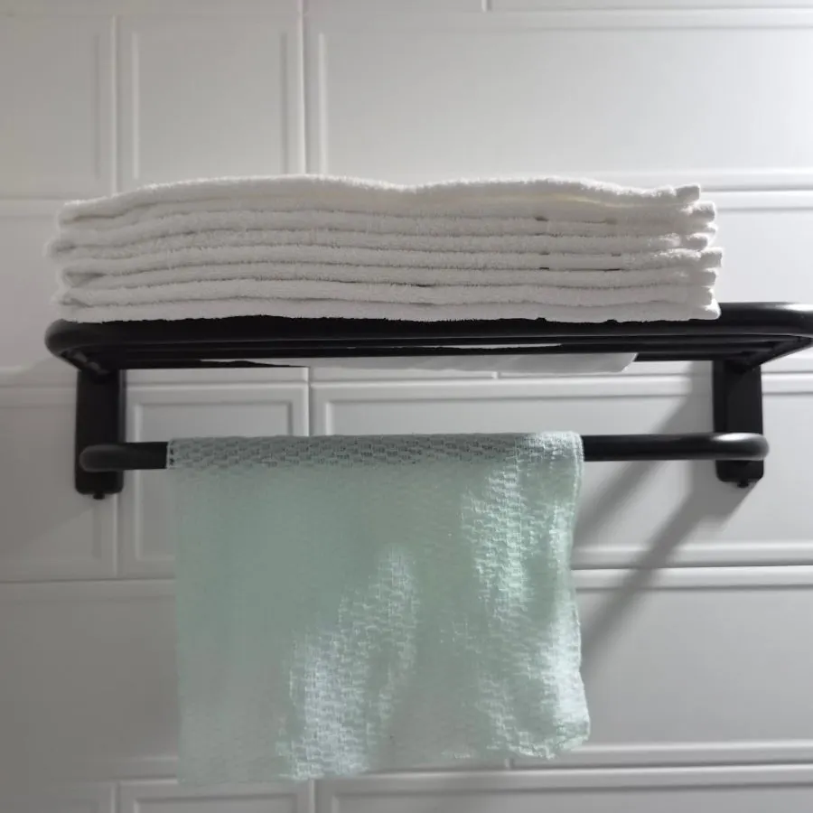 Inodoro con bidé instalado en el baño