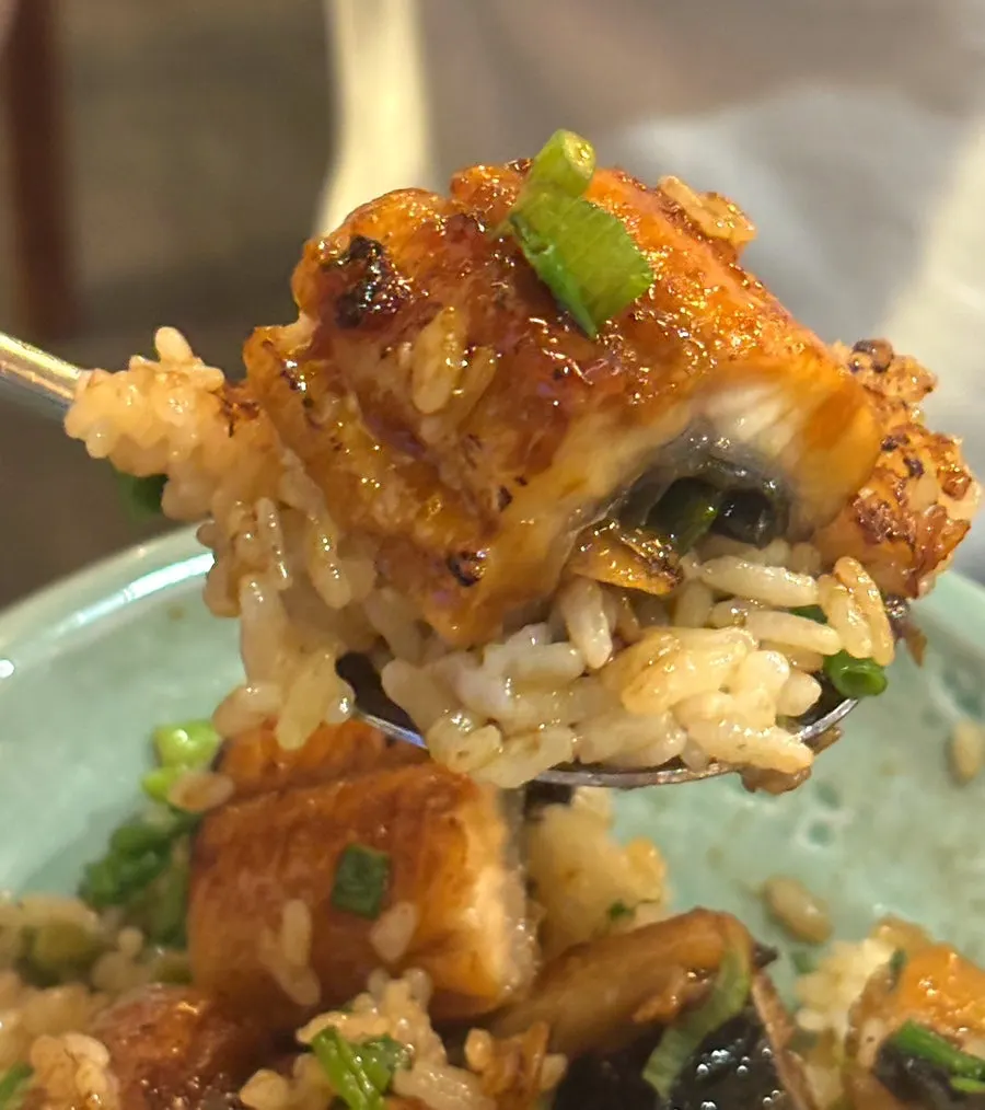 放上青蔥的鰻魚鍋飯一口