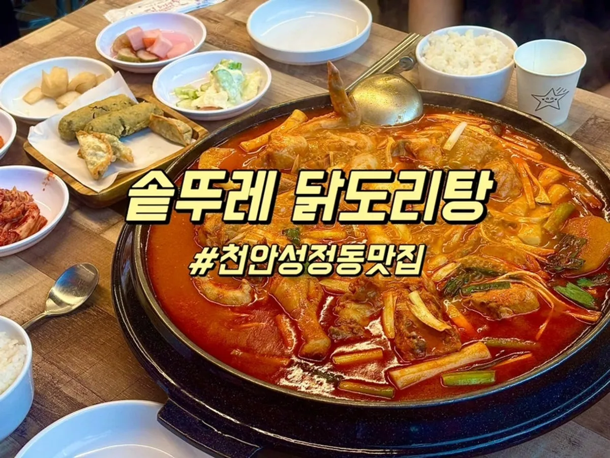 천안 성정동 솥뚜레 닭도리탕 대표 사진