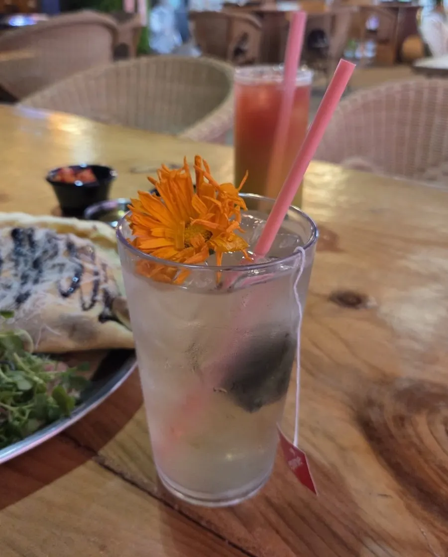 A refreshing glass of iced peppermint tea