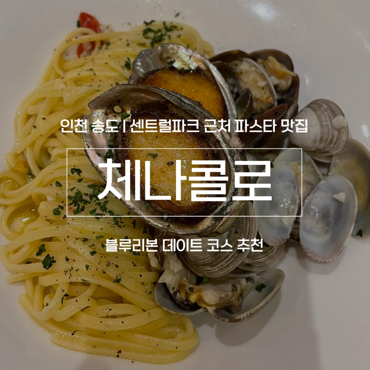 체나콜로 아트포레 대표 사진