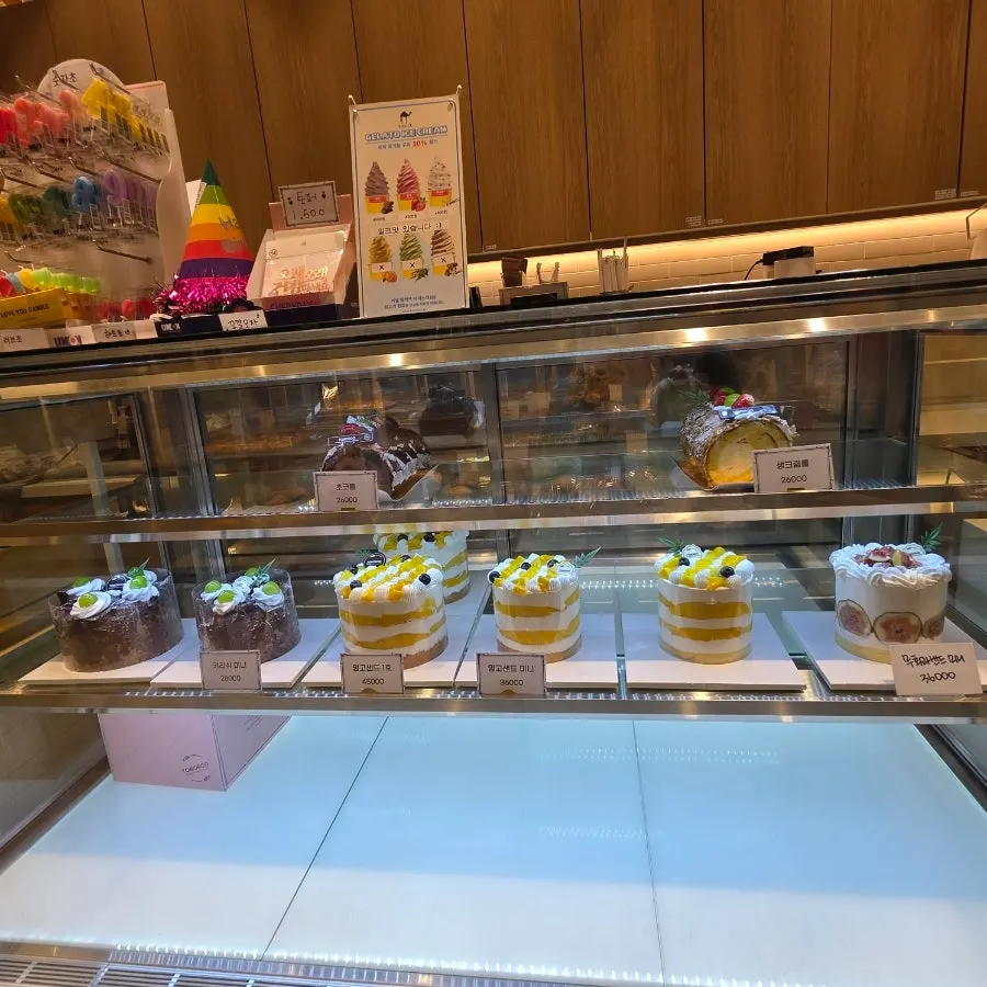 Showcase of mini cakes and roll cakes