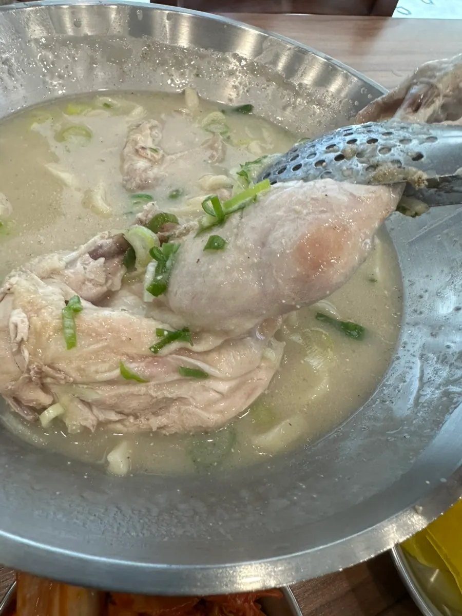 닭 반마리가 들어간 닭칼국수 한 그릇