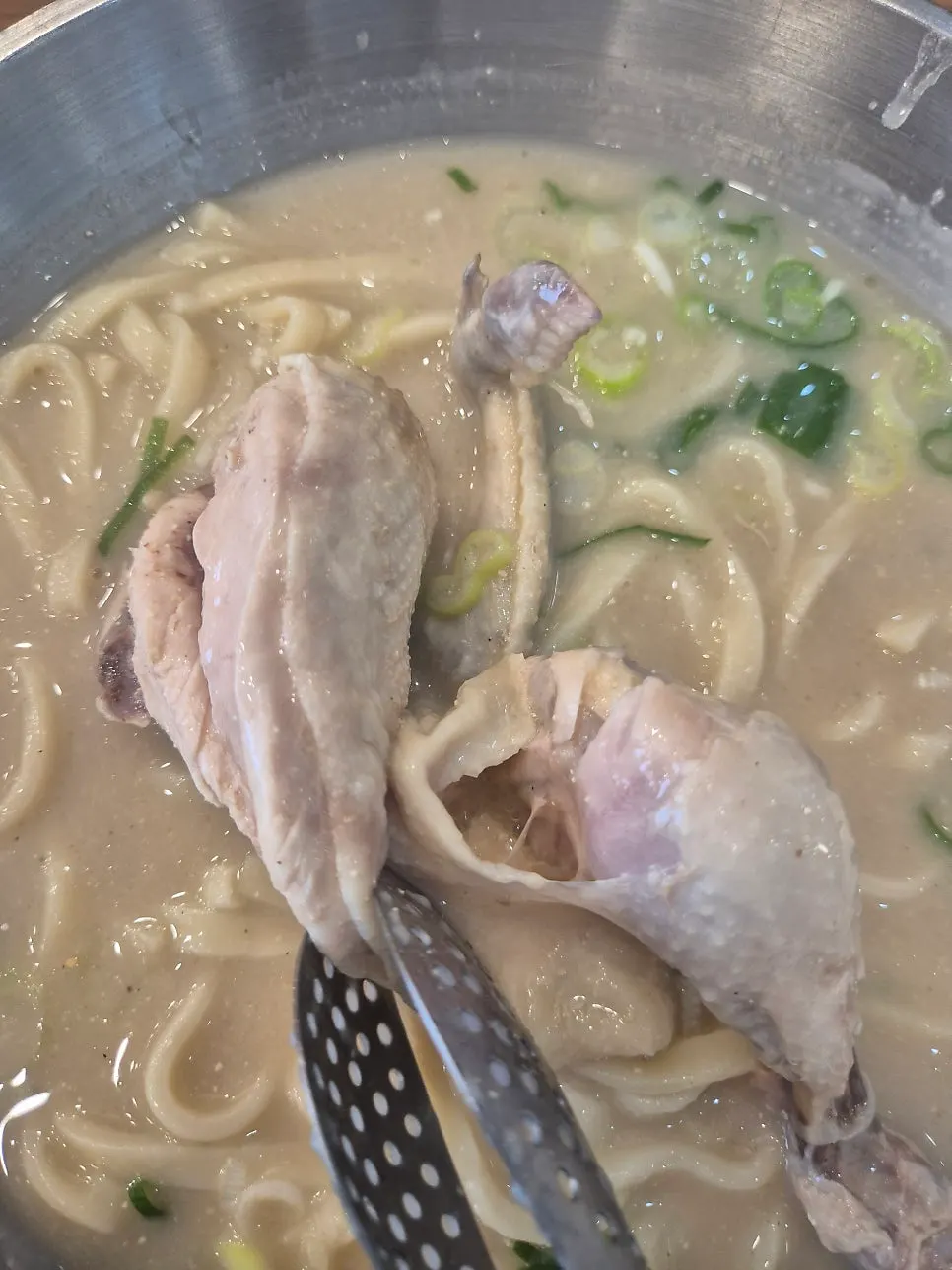 걸쭉한 들깨 국물의 닭칼국수 한 그릇