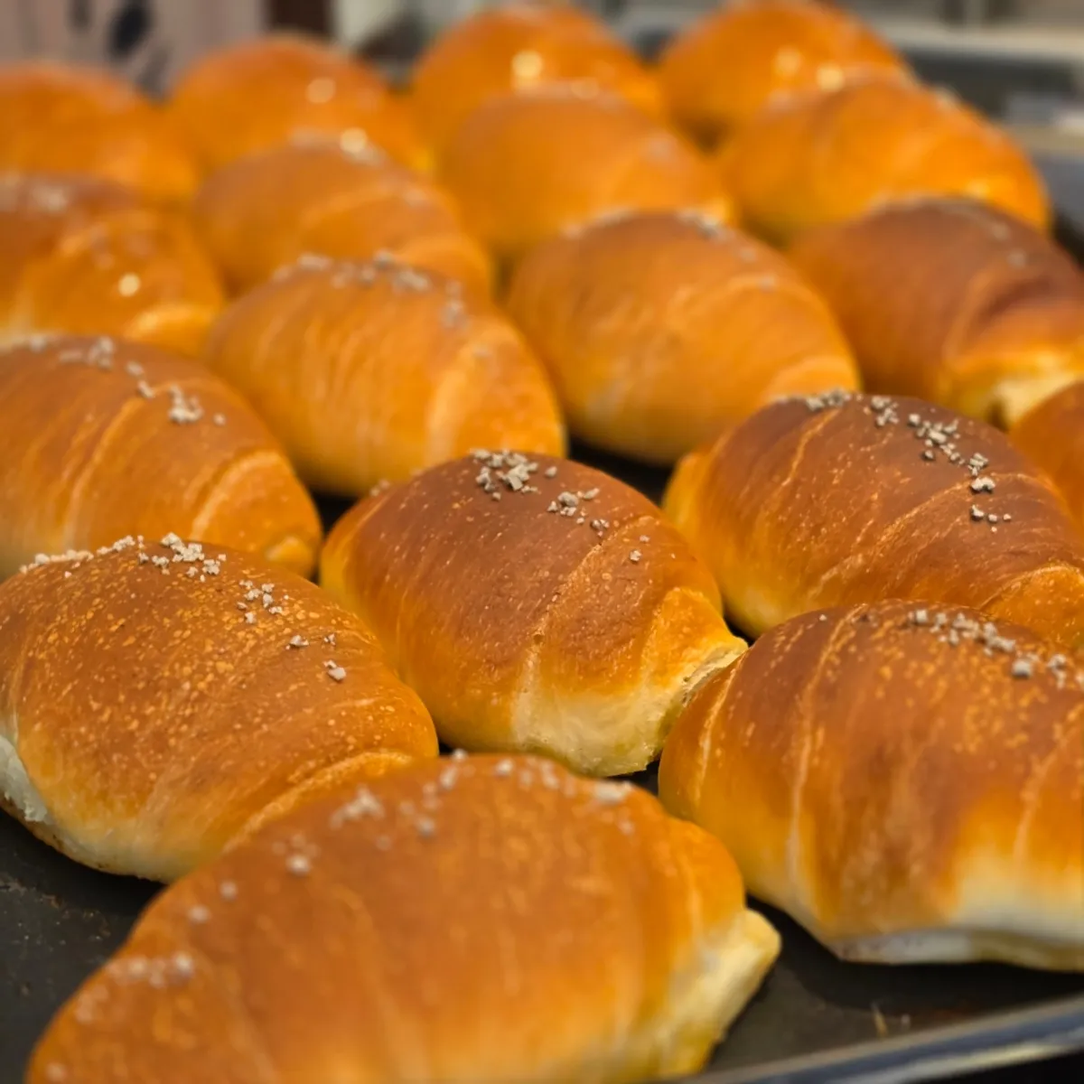 Etalase salt bread di dalam toko Cozy Bear