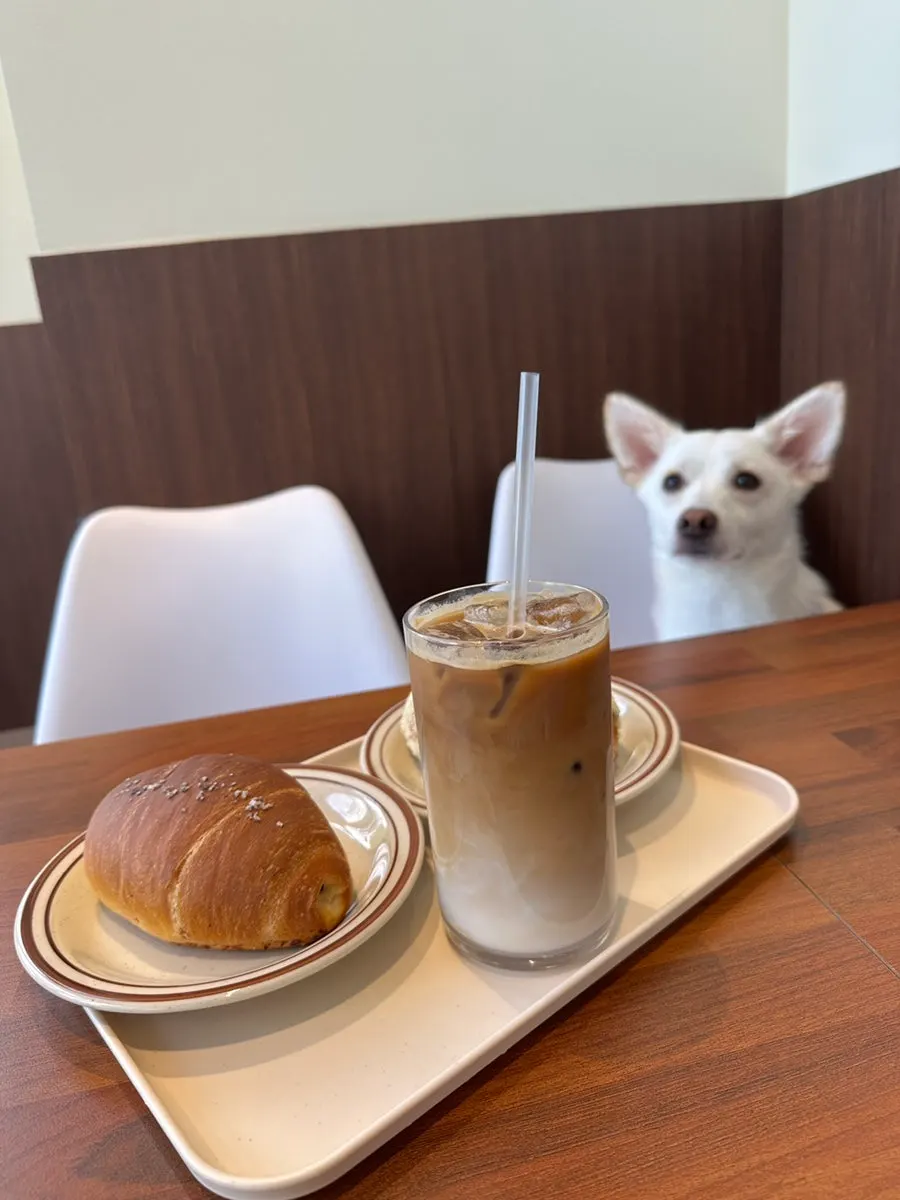 Two pieces of salt bread on the table