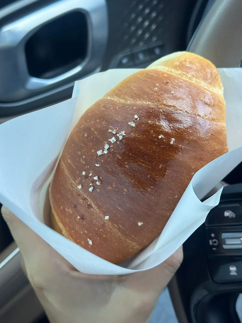 차에서 꺼낸 코지베어 소금빵