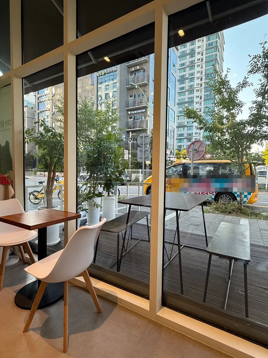 Cozy Bear's bakery workspace visible through a window