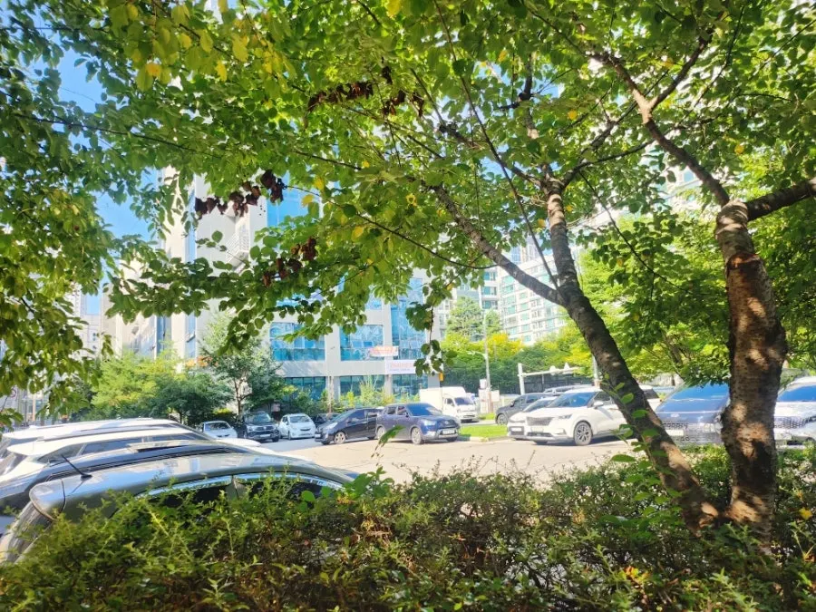 View of Cozy Bear's direction from Harbor View