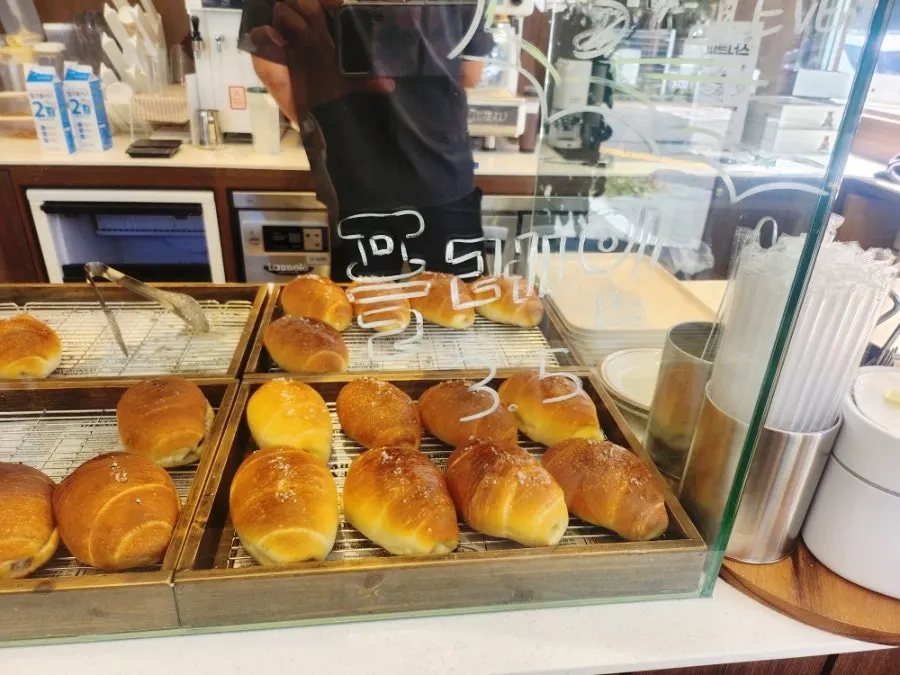 Cozy Bear's bakery display case