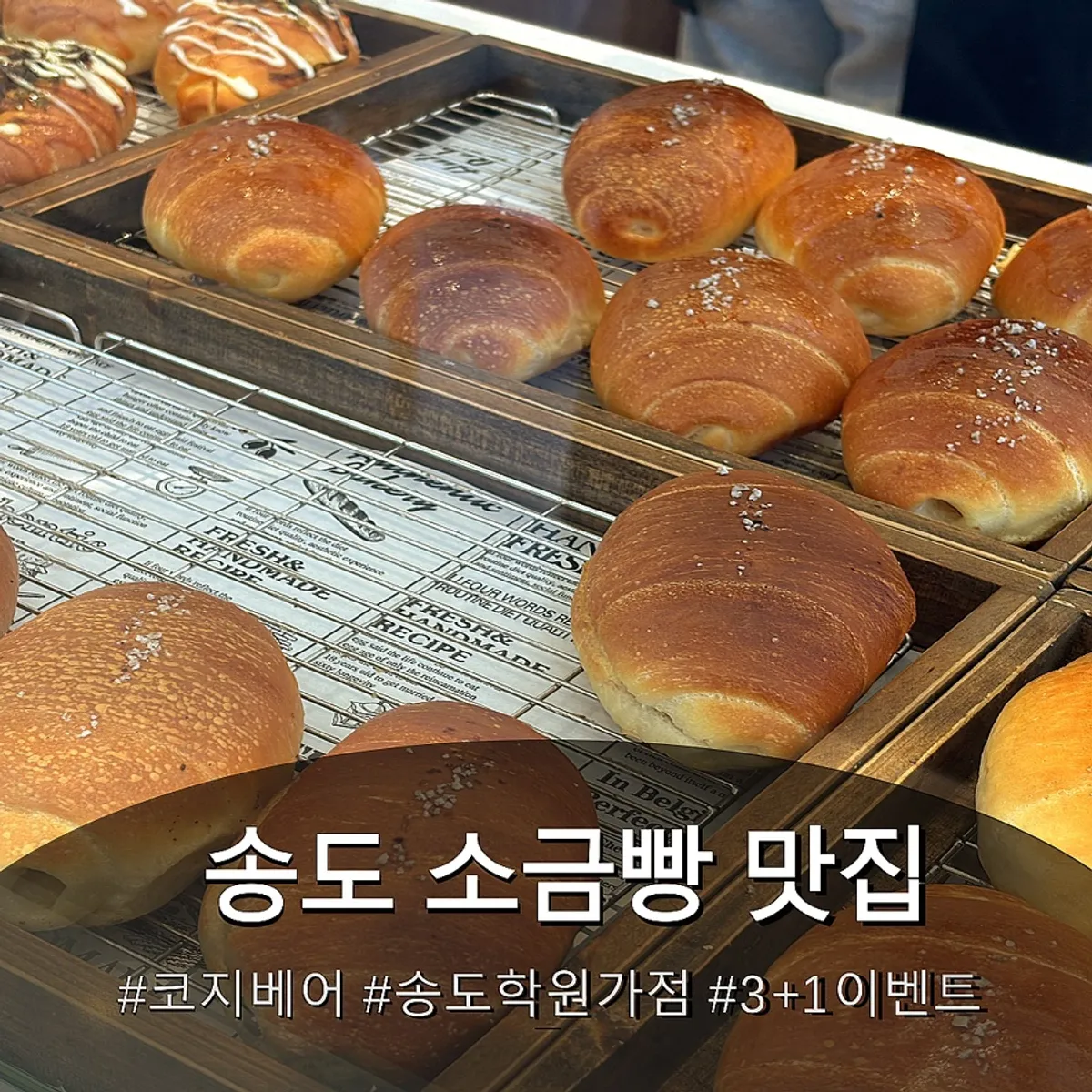Cafe Cozy Bear Salt Bread Bakery main photo