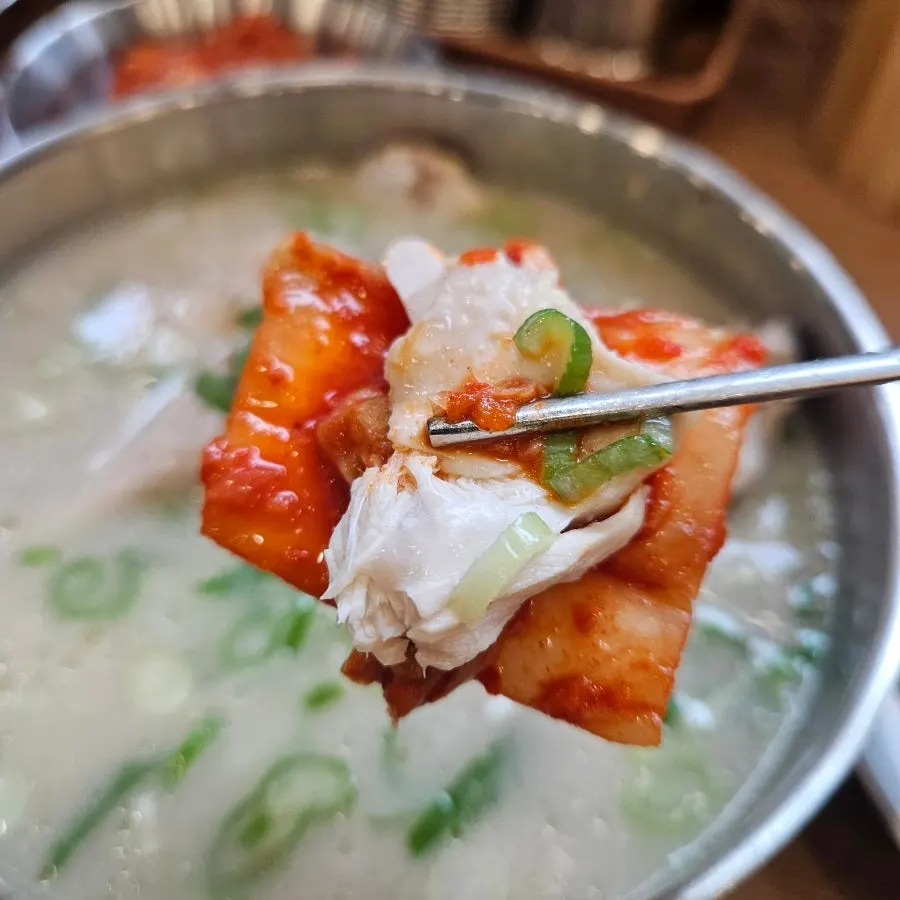젓가락으로 결대로 떨어지는 닭고기