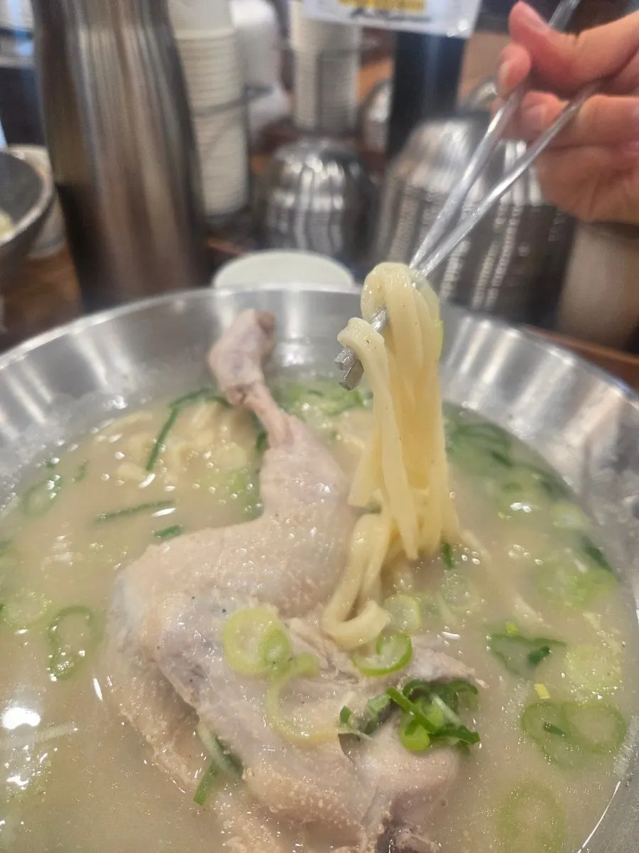 A chopstick-full of noodles topped with chicken meat