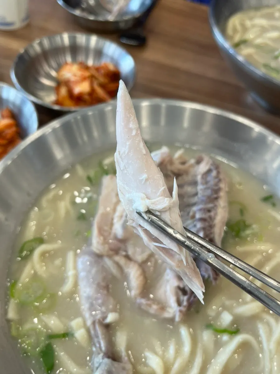 Daging ayam yang dicerai ikut serat dengan penyepit