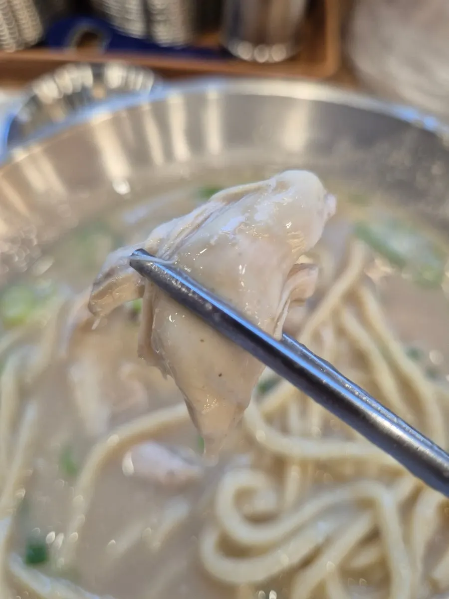 Lifting up the 24-hour aged handmade noodles