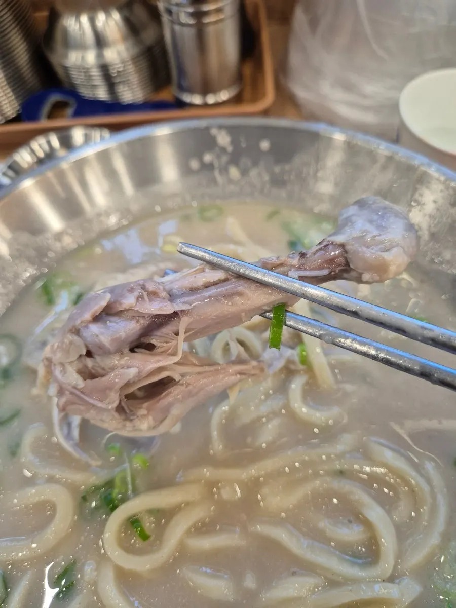 Tender chicken meat falling off the bone