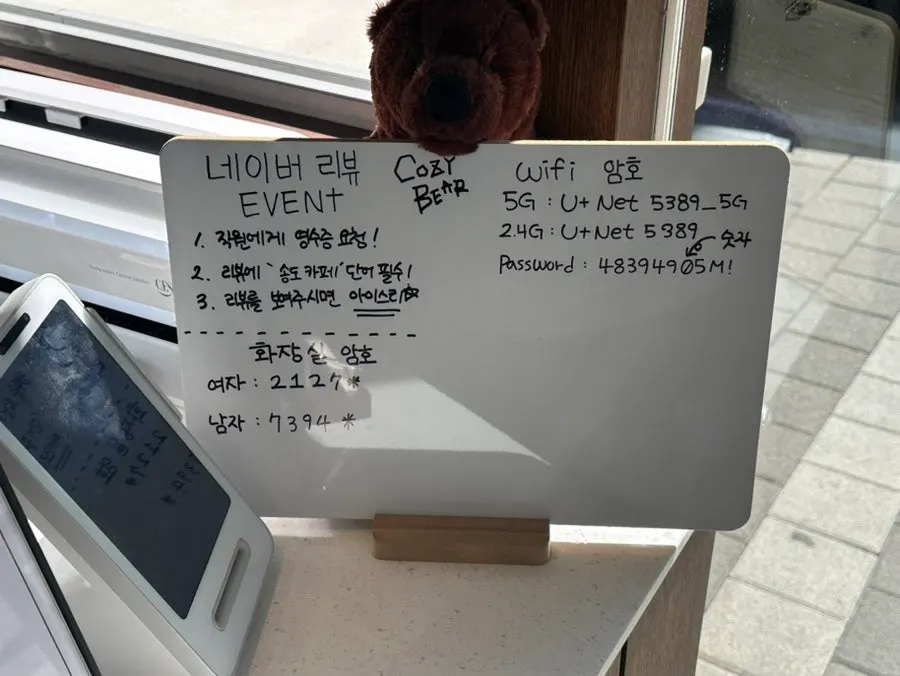 코지베어 소금빵 진열 모습