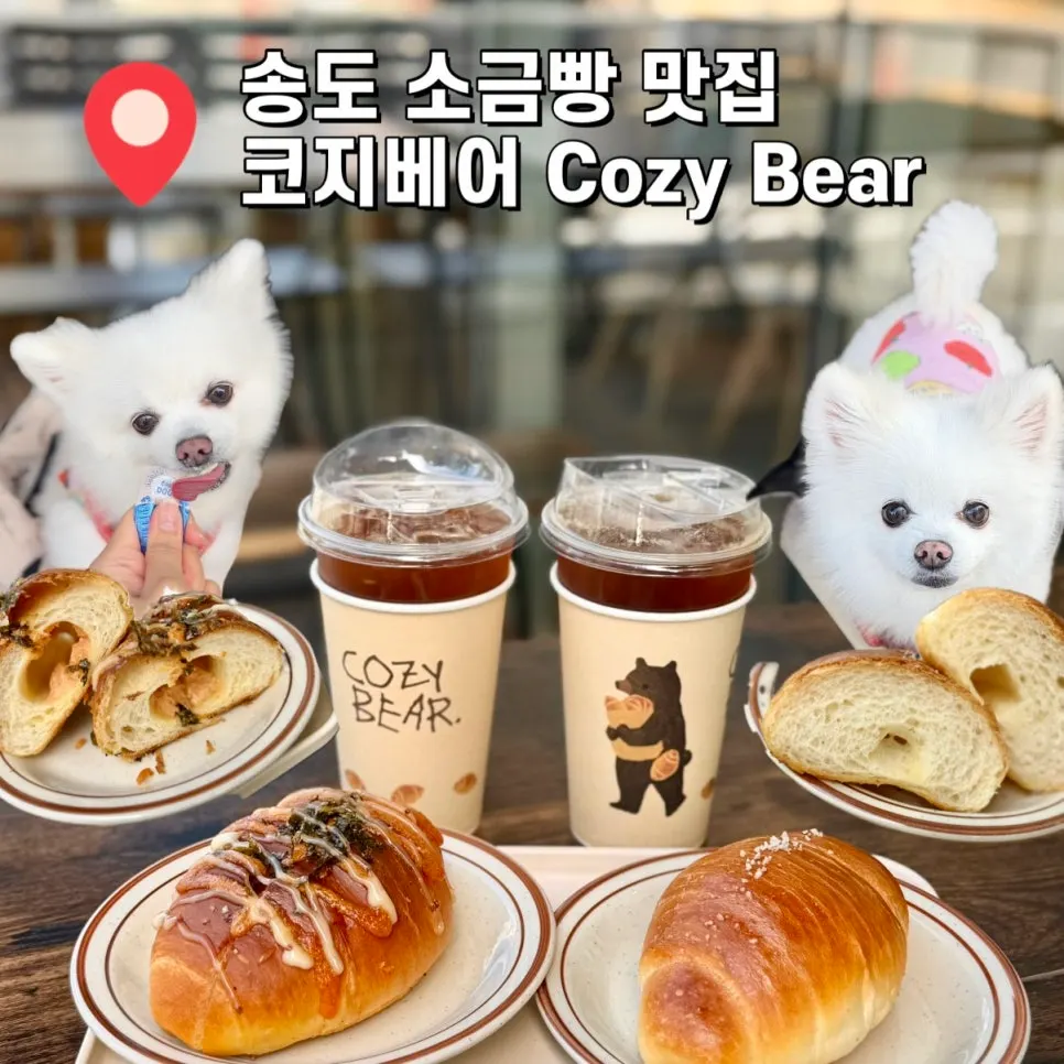 송도 코지베어 소금빵 베이커리 카페 대표 사진