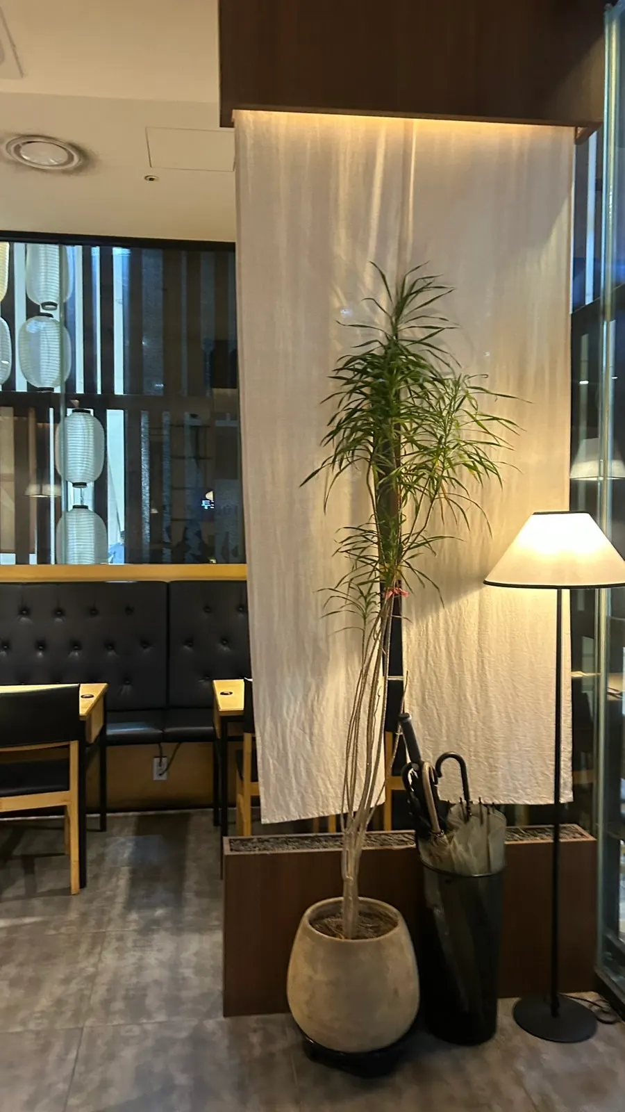A table in the private-feeling atmosphere at Sushi Doku The Songdo